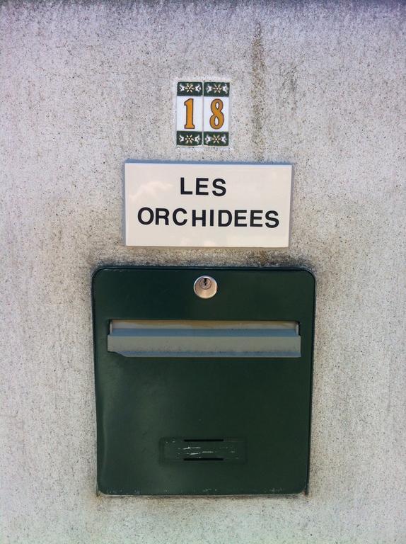 Les Orchidees Apartment Carcassone Exterior photo