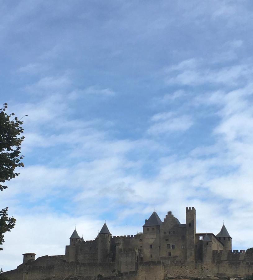 Les Orchidees Apartment Carcassone Exterior photo